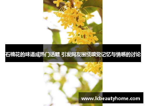 石楠花的味道成热门话题 引发网友围绕嗅觉记忆与情感的讨论 石楠花的味道成热门话题 引发网友围绕嗅觉记忆与情感的讨论